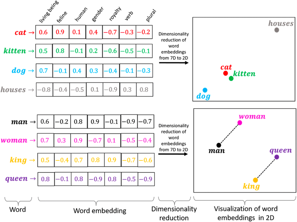 Visualizing Learned Word Embeddings: This toy example illustrates how word embeddings transform words from a text corpus into vector space. Here, the 1st dimension strongly correlates with ‘living beings’. Semantically or syntactically similar words cluster together in this space, a feature evident in the top-right quadrant via dimensionality reduction techniques like t-SNE or PCA. The image also highlights how consistent offsets in vector space can reflect shared cultural relationships between different words.